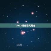 2022抖音霸气网名，2023超拽霸气抖音名