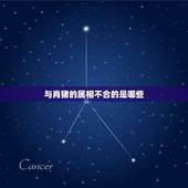 与肖猪的属相不合的是哪些，属虎的和属猪的属相不合吗？