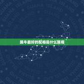 属牛最好的配相是什么属相，属牛男和什么属相最配