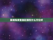 属相兔家里鱼缸摆在什么方位好，那种命的人忌讳养鱼