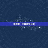 我想查一下我是什么命，怎么查自己是什么命