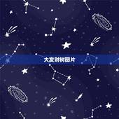 大发财树图片，这种小棵的发财树能长大吗？长成又大又粗的那种、