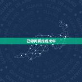 己卯丙寅戊戌戊午，癸酉戊午丙寅癸巳