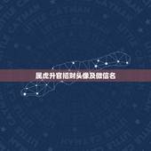 属虎升官招财头像及微信名，74年属虎的人微信用什么头像会招财进宝