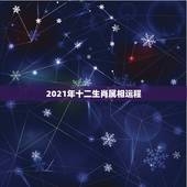 2021年十二生肖属相运程，李计忠2021年十二生肖运程