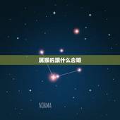 属猴的跟什么合婚，属猴的今年多大