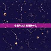 辛丑年九月五行属什么，辛丑五行属什么