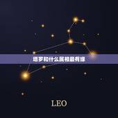 塔罗和什么属相最有缘，塔罗牌占卜：你和什么星座的男人结婚最幸福