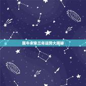 属牛未来三年运势大揭秘，属牛未来5年运势如何