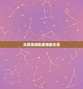 女属兔婚配属相最合适，属相婚配：男属猴和女属兔相配吗