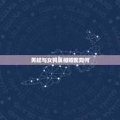 男蛇与女狗属相婚配如何，女蛇跟男狗的婚姻财运如何