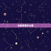 水蛇命是什么命，五行相生相克