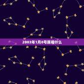 2003年1月8号属相什么，2003年阳历1月8日出生属相