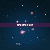 属兔34岁有道坎，属马多少岁今年2022