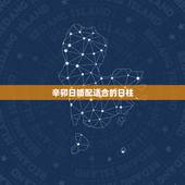 辛卯日婚配适合的日柱，恳请哪位大师帮忙看下下面这个辛卯日柱八字明年会否