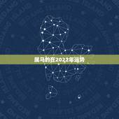 属马的在2022年运势，2022 年属蛇人的全年运势