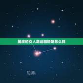 属虎的女人命运和婚姻怎么样，问属虎女人的爱情上与她的命运时运如何在20
