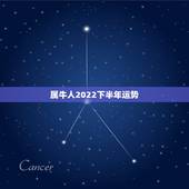 属牛人2022下半年运势，2022 属牛人下半年运势