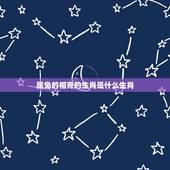 属兔的相克的生肖是什么生肖，属猴的相克的生肖是什么生肖