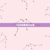 1960年属鼠什么命，1960年生人是什么命