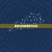 属相马和猪婚配可以吗，属猪的和属马的配么 详细�0�3