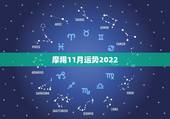 摩羯11月运势2022，摩羯座2017年运势及运程