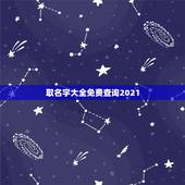 取名字大全免费查询2021，2021男孩取名字寓意好的字