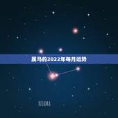 属马的2022年每月运势，2021年属马的全年每月运势