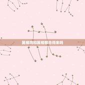 属相鸡和属相猴合得来吗，查询属相鸡与猴是否相合