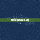 狗年属猴的运势怎么样，属猴今年运势？