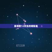 属羊的12月生的婚配表，91年属羊的属相婚配表