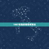 1987年兔的寿命有多长，属兔的五大贵人