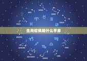生肖蛇佩戴什么手串，属蛇适合戴什么材质的东西