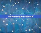 妈属狗爸属猪生属什么属相的宝，属狗爸爸和属猪妈妈的生个牛宝宝好吗
