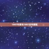 1997牛男与1997女牛婚配，97男牛和2000年女龙的结合