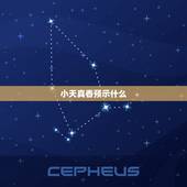 小天真香预示什么，烧香烧到“小天真”是什么意思啊