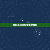 属蛇男和属狗女婚配号码，属蛇和属狗的合作适合吗？