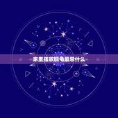 家里摆放铜龟最忌什么，铜龟怎么摆放位置？有什么禁忌？