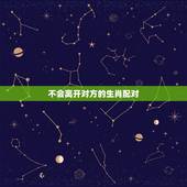 不会离开对方的生肖配对，对方离开了是什么软件