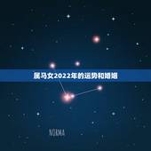 属马女2022年的运势和婚姻，66年属马人2022年运势
