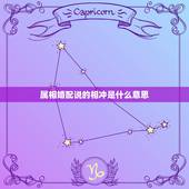 属相婚配说的相冲是什么意思，生肖相冲是什么意思？