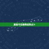属鼠今日麻将运势占卜，今日打麻将运气占卜