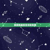 紫微排盘各宫详批免费，命盘免费测算