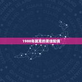 1988年属龙的更佳配偶，1988年属龙和1985年属牛配吗