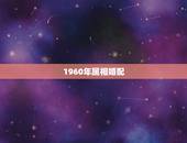 1960年属相婚配，95年属猪的和96年属鼠的般配吗？在一起会怎样？