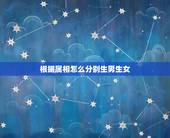 根据属相怎么分别生男生女，十二生肖男女怎样分的？