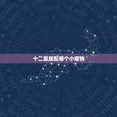 十二星座配哪个小宠物，十二星座适合养什么狗？快告诉我！