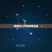 属鼠2022年的感情运势，1984年属鼠人金牛座13感情运势如何