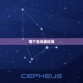 哪个生肖最旺兔，哪个生肖的宝宝命更好