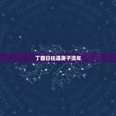 丁酉日柱遇庚子流年，丁酉日柱人的命运